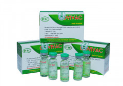 Vắc-xin Covid-19 “Made in Việt Nam” thứ hai được tiêm thử nghiệm trên người