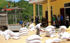 Xuất cấp hơn 8.400 tấn gạo cho 12 địa phương dịp Tết Nguyên đán