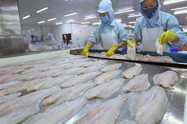 Xuất khẩu cá da trơn sang Campuchia đóng góp tốt cho việc phát triển thương mại ở khu vực biên giới giữa hai nước