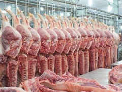 Cục Hải quan Quảng Trị kiểm soát chặt lợn nhập khẩu