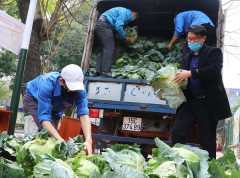 Tặng miễn phí nông sản, thực phẩm sạch cho người lao động tại các doanh nghiệp