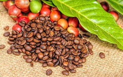 Cà phê của Việt Nam chiếm 17,61% tổng lượng nhập khẩu của Hàn Quốc trong năm 2020