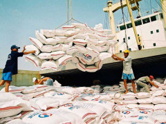 Hiệp hội Lương thực Việt Nam dự báo xuất khẩu gạo trong năm 2021 sẽ tiếp tục khởi sắc