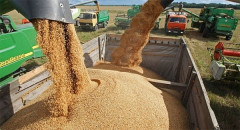 Trung Quốc đang định hình lại thị trường ngũ cốc toàn cầu