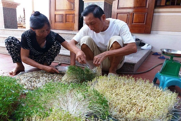 Ông Nguyễn Bá Trung thành công với “nghề làm giá” đỗ theo công Nghệ Thái Lan