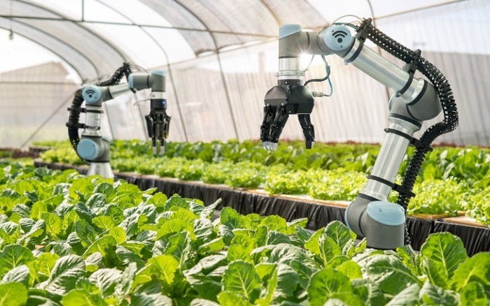 Công nghiệp 4.0 trong phát triển nông nghiệp công nghệ cao giúp nông dân kiểm soát tốt hơn quá trình chăn nuôi, trồng trọt