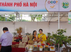 Hà Nội: Tổ chức hội chợ ra mắt sản phẩm làng nghề và OCOP