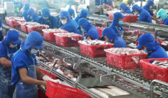 697 doanh nghiệp Việt đủ điều kiện xuất khẩu thủy sản vào lãnh thổ Đài Loan