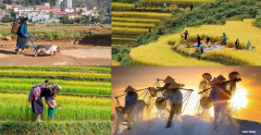 Tác động biến đổi khí hậu đến ngành nông nghiệp Việt Nam