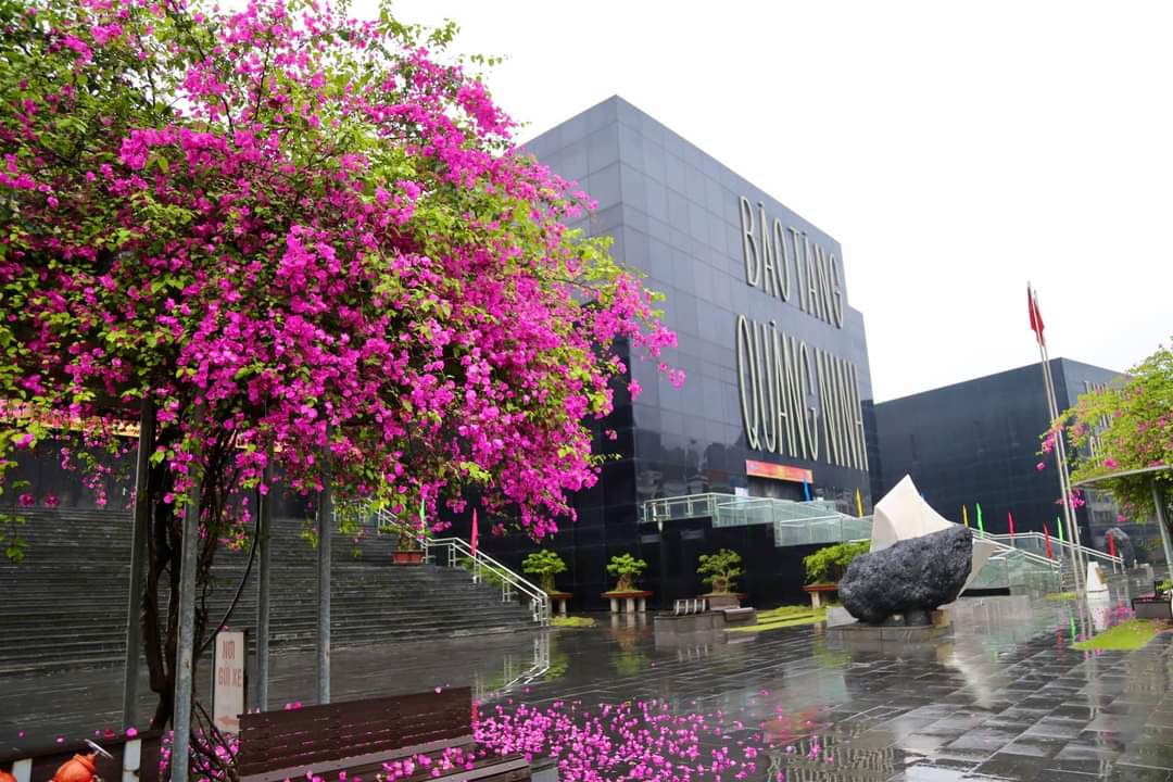 Bảo tàng tỉnh ngày càng thu hút khách du lịch mỗi khi về Quảng Ninh