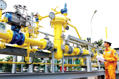 PV Gas D hợp tác chiến lược với cổ đông lớn - Tokyo Gas Asia