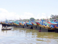 Kiên Giang: Ngăn chặn, xử lý hành vi tổ chức, môi giới đưa tàu cá, ngư dân ra nước ngoài khai thác hải sản trái phép