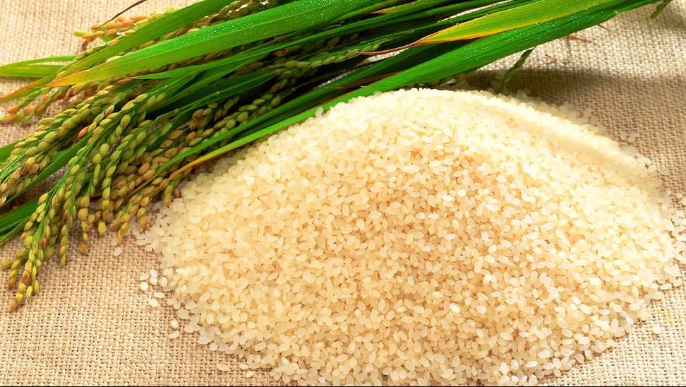 VINAFOOD 2 sẽ xuất 50 nghìn tấn gạo sang Bangladesh