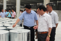 Công ty CP Thông Quảng Ninh trả cổ tức tới trên 46%
