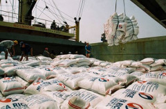 Kiên Giang: Kim ngạch xuất khẩu tăng mạnh ở mức 12%