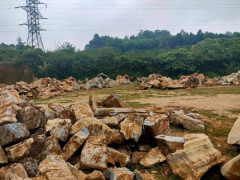 Nghệ An: Truy tìm chủ nhân hàng trăm khối đá cảnh tập kết trên vùng đất của Công ty Xuân Thành quản lý sử dụng