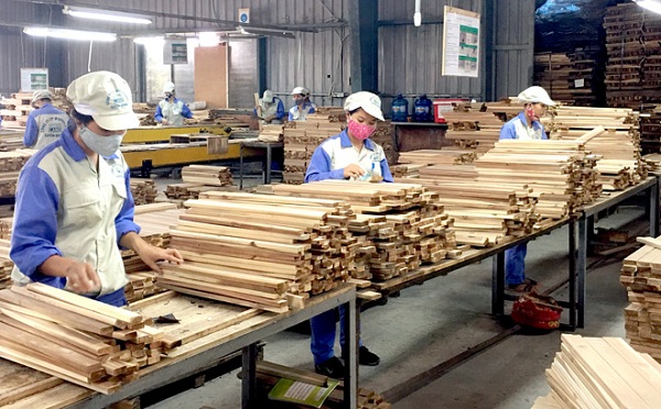 Tập đoàn Công nghiệp Cao su Việt Nam chiếm 50% thị phần trong nước