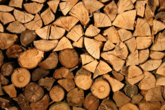 Bảo đảm gỗ hợp pháp trong đấu thầu mua sắm công ở Việt Nam: Thực thi hiệp định VPA-FLEGT
