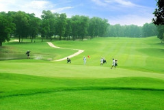 Chính phủ cho phép sử dụng 155,93ha rừng sản xuất để làm sân golf