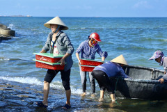 Thủy hải sản Hà Tĩnh đắt khách, doanh nghiệp nhiều cơ hội