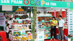 Hà Tĩnh: Mở Hội chợ sản phẩm OCOP khu vực Bắc Trung bộ