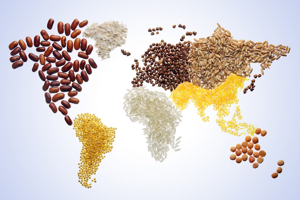 Tháng 3/2021, giá lương thực thế giới tiếp tục tăng