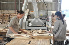 Qúy I/2021 ngành gỗ ghi nhận thêm 10 dự án FDI mới
