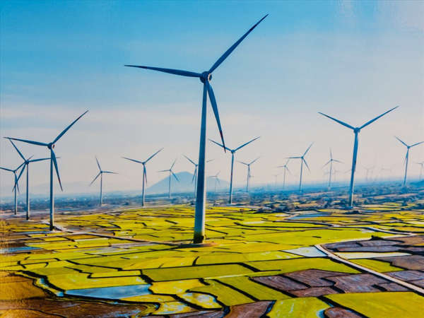 Nhà máy điện gió lớn nhất Việt Nam đi vào hoạt động
