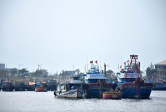 Kiên Giang: Kịp thời nắm bắt thông tin, xử lý hành vi khai thác hải sản bất hợp pháp