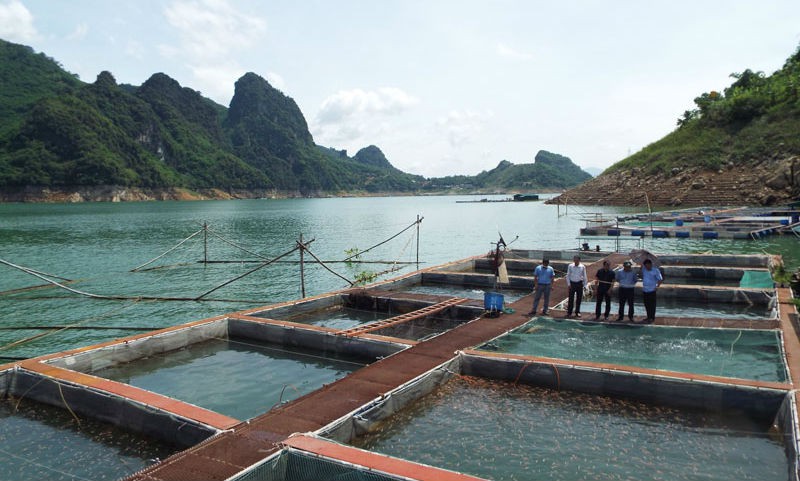 Phát triển kinh tế vùng hồ gắn với du lịch cộng đồng và nuôi trồng thủy sản