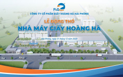 Giấy Hoàng Hà Hải Phòng đặt kế hoạch lãi 2021 gấp 3 nhờ bất động sản: Vì sao chuyển hướng?