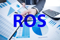 Kế hoạch phát hành riêng lẻ giá 10.000 đồng giúp cổ phiếu ROS thăng hoa?