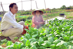 Kiên Giang: Thực hiện tốt Quỹ Hỗ trợ nông dân phát triển sản xuất