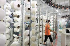 Sản phẩm sợi dún polyester (PTY) của Việt Nam bị phá giá từ 2,67% đến 22,82% ở Mỹ