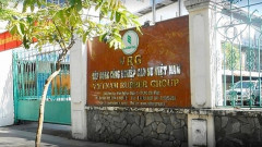 KCN Cao su Việt Nam đặt mục tiêu lãi sau thuế gấp 3,9 lần năm 2020
