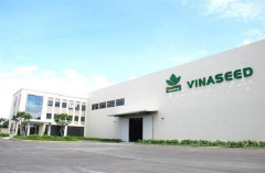 Giống cây trồng Việt Nam - Vinaseed dự chi 35 tỷ đồng để trả cổ tức cho cổ đông