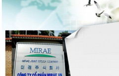 Cổ phiếu KMR của Công ty CP Mirae tăng trưởng đột biến