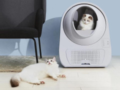 Khởi nghiệp bằng hộp vệ sinh cho mèo, startup bùng nổ doanh thu hơn 100 triệu Nhân dân tệ