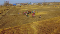 Trung Quốc thúc đẩy phát sóng trực tiếp thương mại điện tử tái sinh ngành nông sản nông thôn