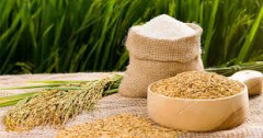 Bộ Công Thương: Đề nghị đối tác chiến lược Philippines dành ưu đãi cho Việt Nam khi có nhu cầu nhập gạo