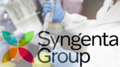 Syngenta nộp hồ sơ cho đợt IPO lớn nhất trên toàn cầu trong năm 2021