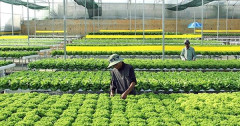 Ứng dụng Khoa học- Cơ hội và thách thức của Nông nghiệp Việt Nam trong bối cảnh mới