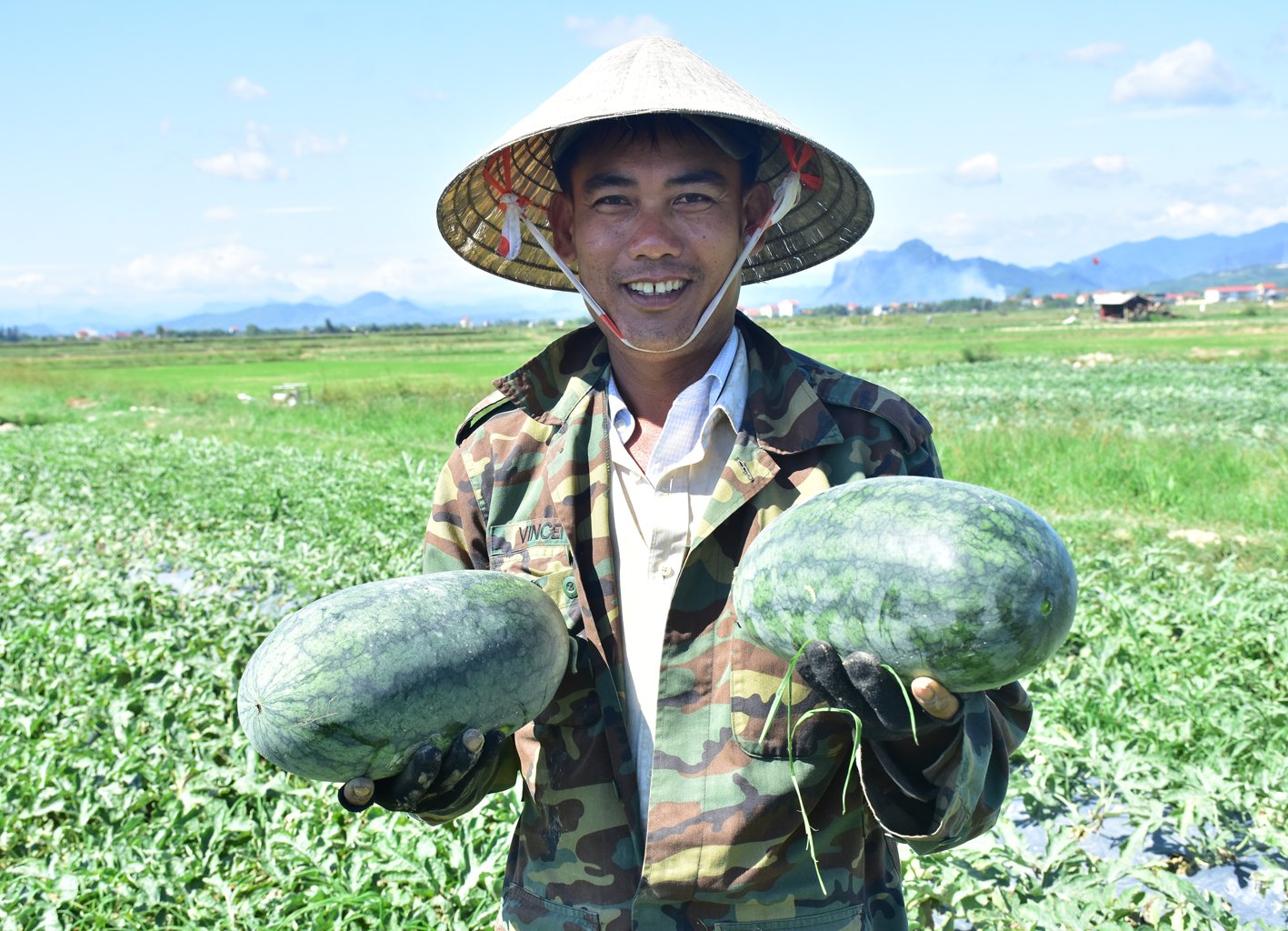 Niềm vui được mùa dưa của nông dân Hàm Ninh