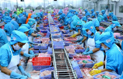 Thủy sản xuất khẩu đi châu Âu nhưng  không đủ chuẩn vào siêu thị Việt Nam