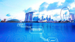 Temasek của Singapore đồng hành trên một chặng đường dài với các công ty khởi nghiệp trong nước