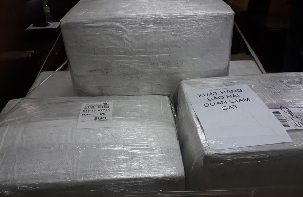 Lô hàng tắc kè khô nhập khẩu trái phép từ Indonesia về sân bay Nội Bài