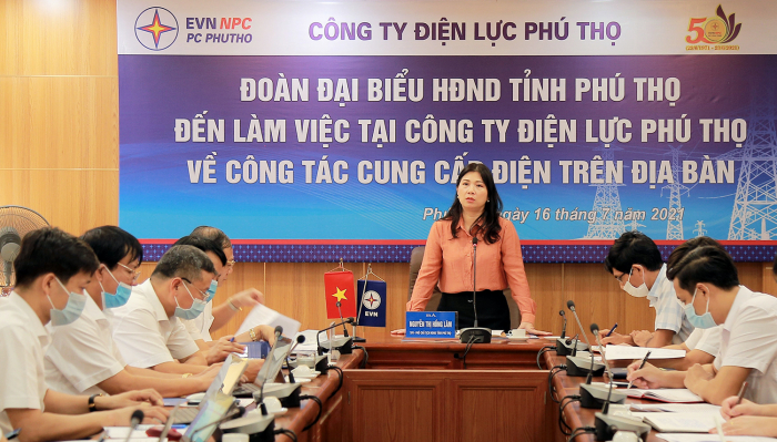 Phó chủ tịch HĐND tỉnh Phú Thọ- Nguyễn Thị Hồng Lâm làm việc với Công ty Điện lực tỉnh