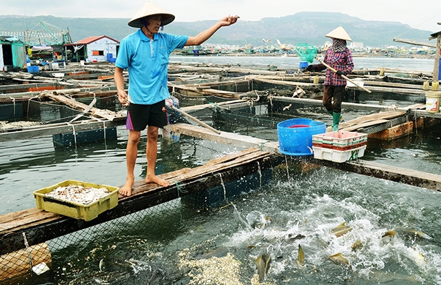 Kiên Giang: Tăng cường công tác quản lý khu vực biển để nuôi trồng thủy sản
