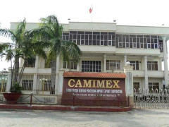 Camimex Group muốn huy động 351 tỷ đồng từ cổ phiếu