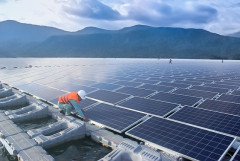 Nghê An: Thành lập Đoàn liên ngành kiểm tra, rà soát các vấn đề liên quan đến phát triển điện mặt trời trên địa bàn